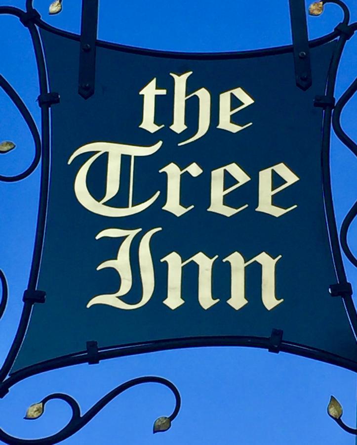 The Tree Inn Bude Exterior photo